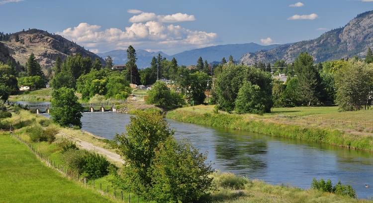 scenic landscape in vineyard country